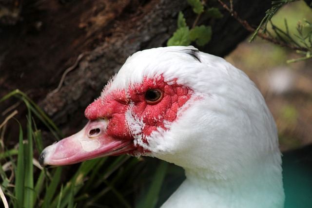 技术之外 技术之外