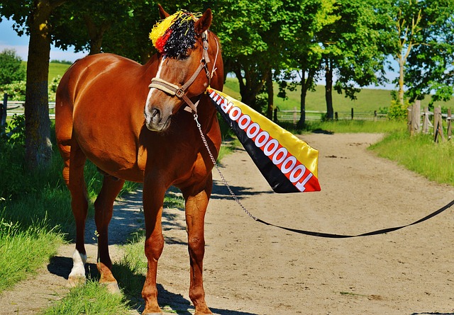 再次证明了 再次证明了