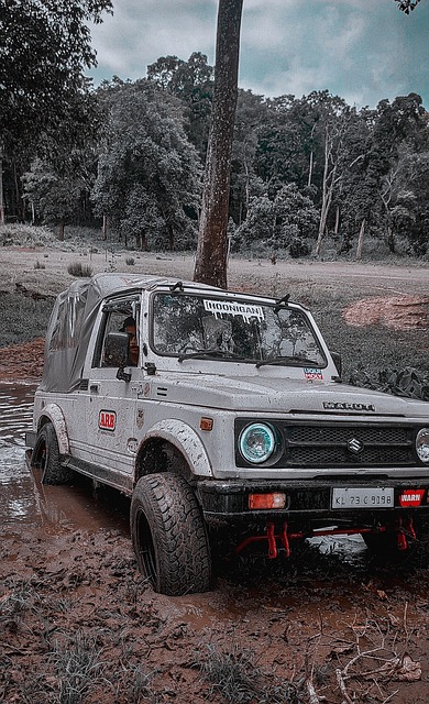 在激烈的 在激烈的