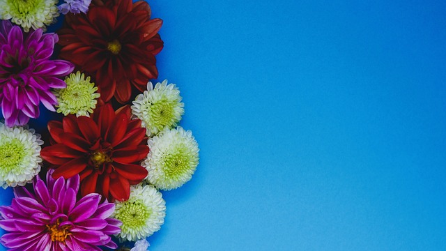 欧洲杯激战 欧洲杯激战