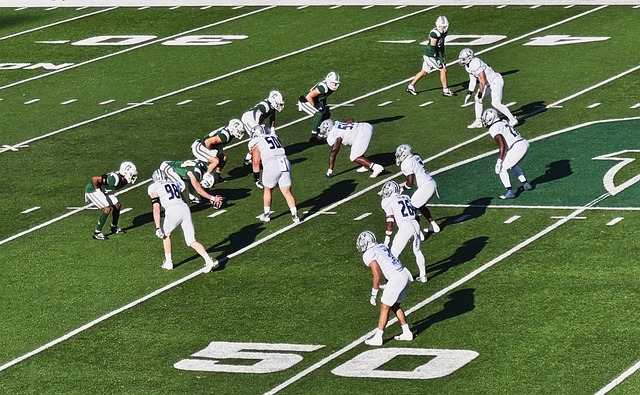 也为中国体 也为中国体