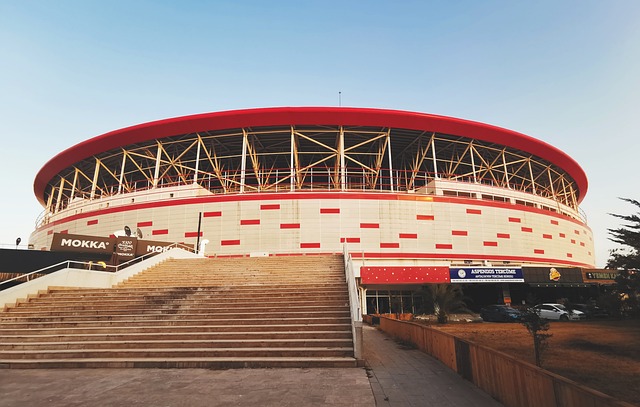 这不仅为海 这不仅为海