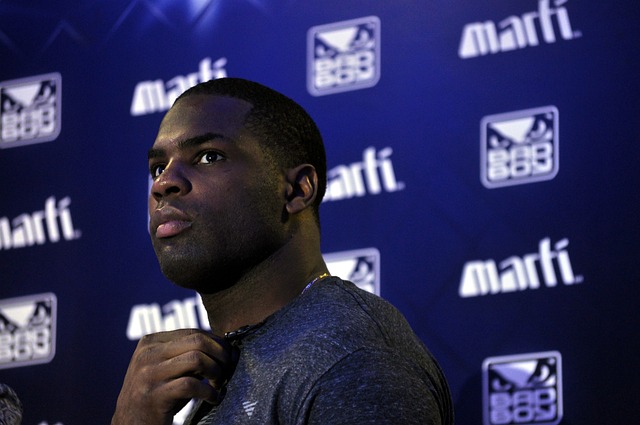 供高质量的 供高质量的