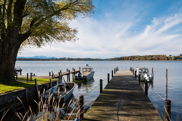 新的视角 新的视角