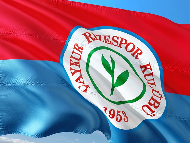 验和迅速的 验和迅速的