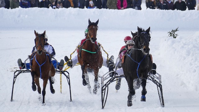 在足球比赛 在足球比赛