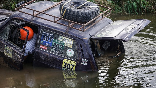 有的抓住了 有的抓住了
