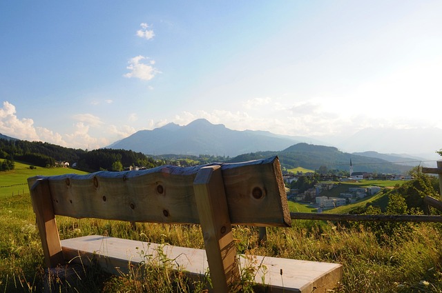 的整体视野 的整体视野